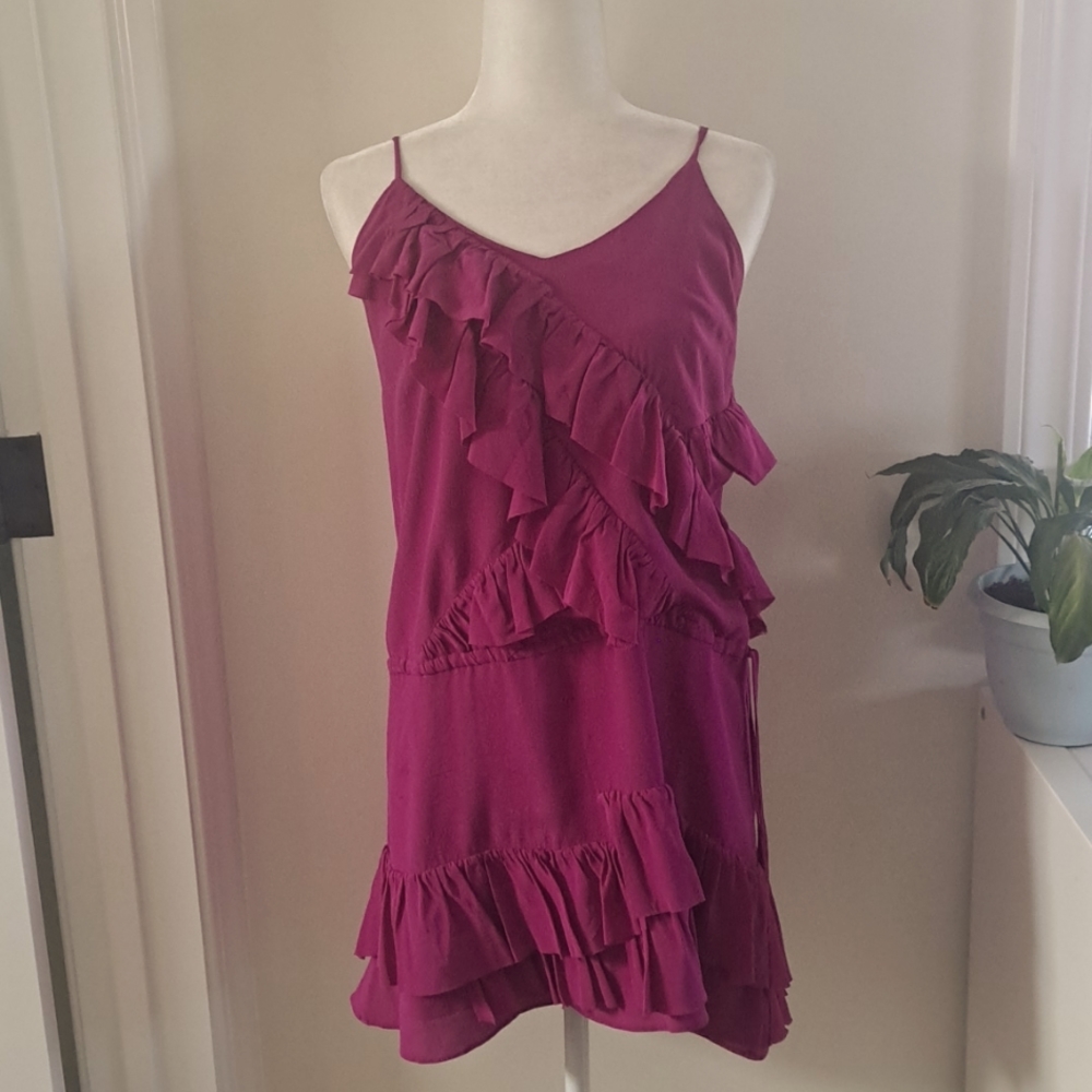 Banana Republic Flirty Ruffleed Dress Size Small